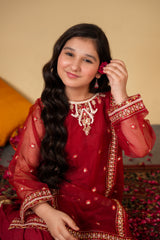Ruby Radiance Organza Suit – Luxury Festive & Wedding Wear for Girls