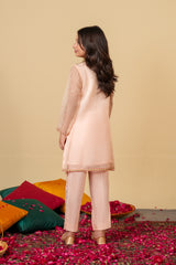 Blush Bloom Organza Suit – Elegant Pastel Festive Wear for Girls
