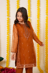Amber Glow Organza Suit – Festive Eid & Wedding Wear for Girls