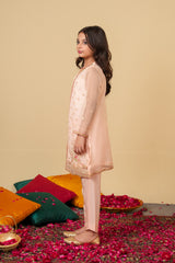Blush Bloom Organza Suit – Elegant Pastel Festive Wear for Girls