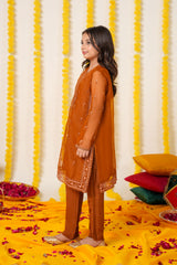Amber Glow Organza Suit – Festive Eid & Wedding Wear for Girls