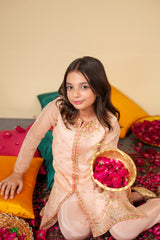 Blush Bloom Organza Suit – Elegant Pastel Festive Wear for Girls
