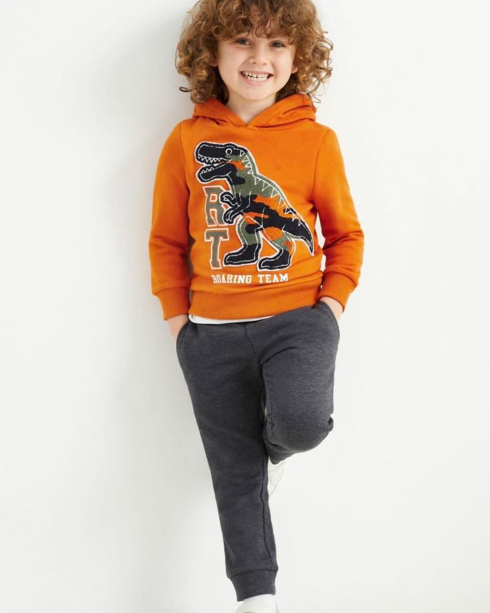 Kids Soft Cotton applique Dino Fleece Hoodie