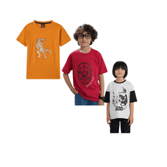 Combo of 3 Boys T shirts Dino